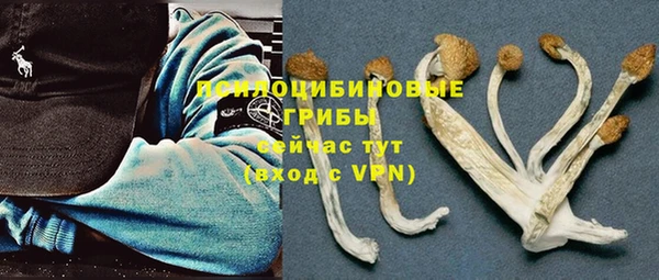 шишки Зеленокумск