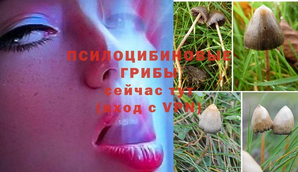 apvp Зерноград
