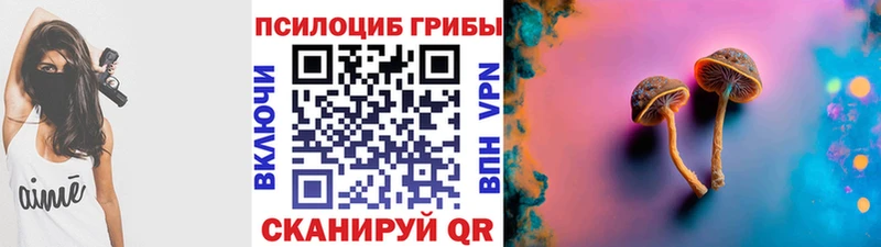 мориарти формула  где найти наркотики  Оса  Псилоцибиновые грибы мухоморы 